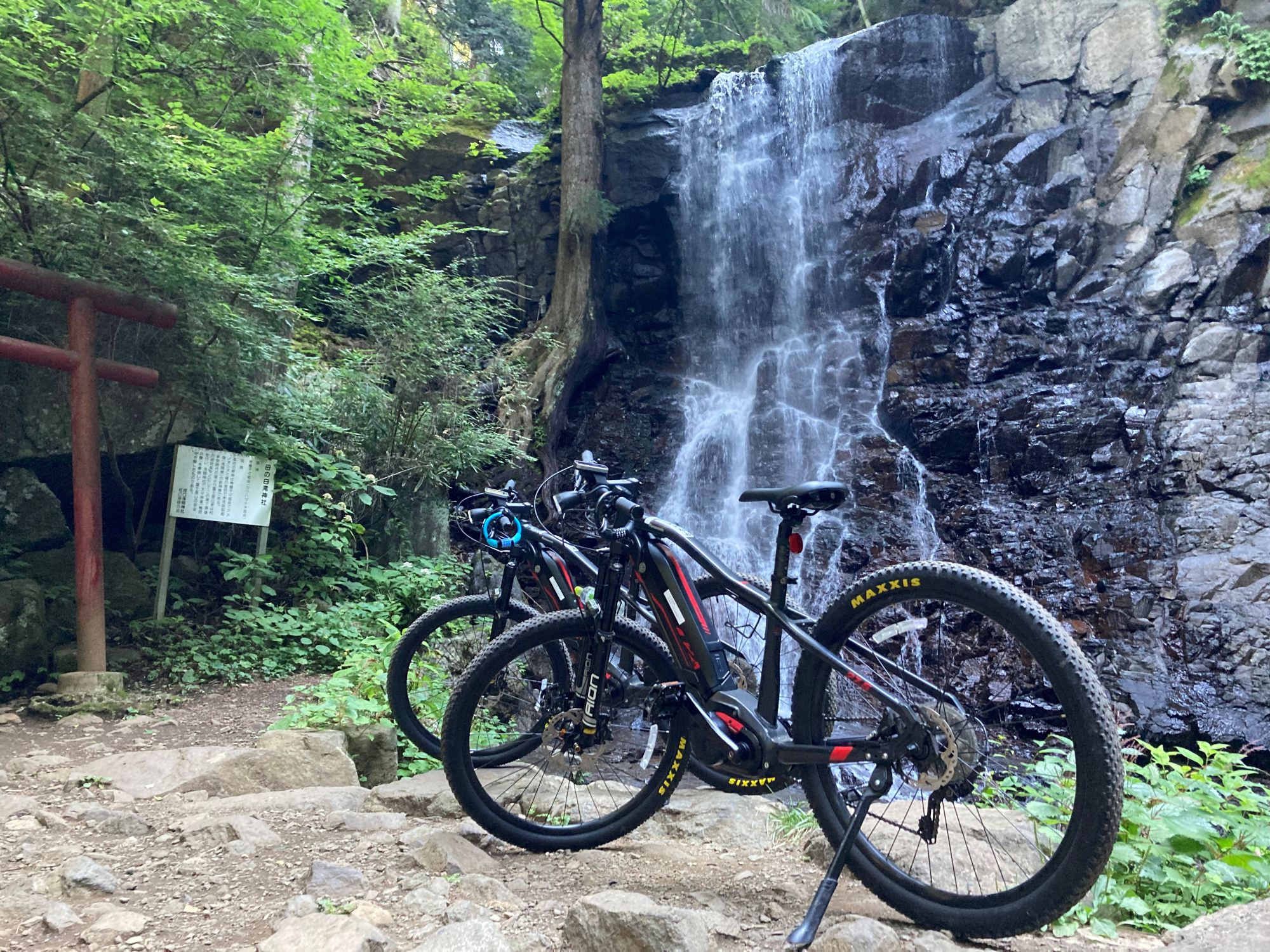 Bicycle Rental