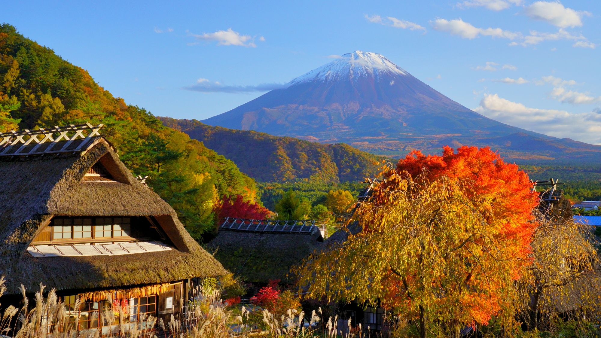Saiko Iyashi no Sato Nenba